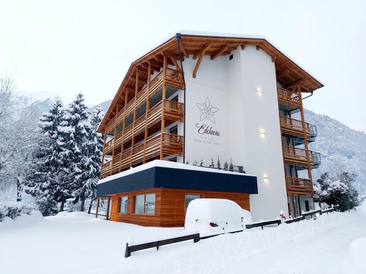 Edelweiss Alpine Nature Pinzolo Exterior foto